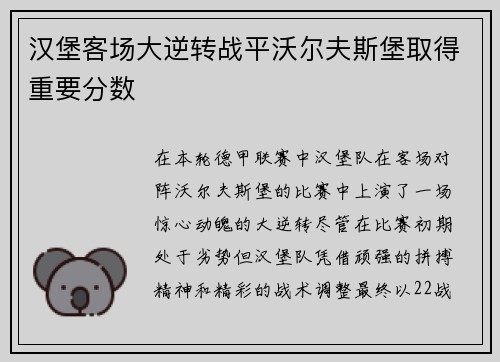 汉堡客场大逆转战平沃尔夫斯堡取得重要分数